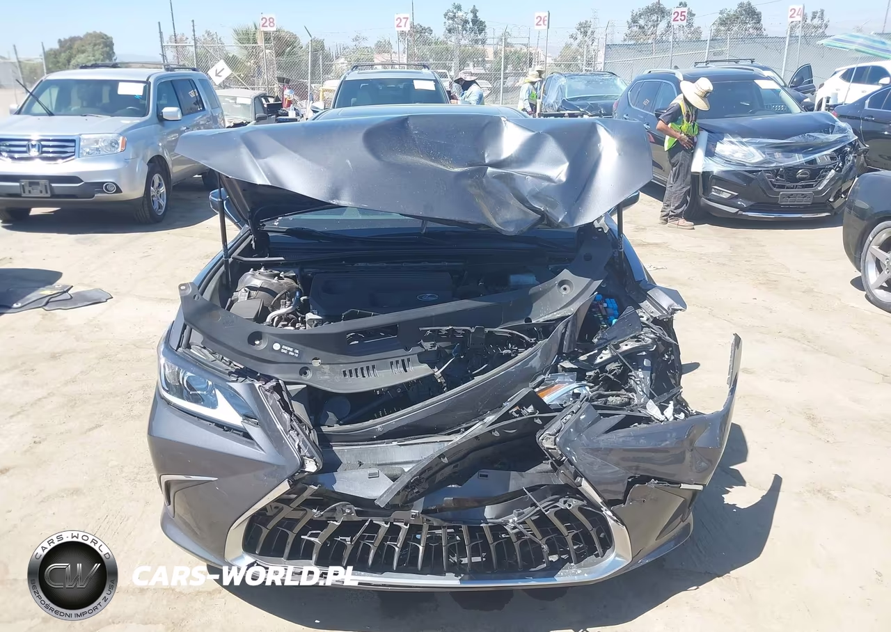 2023 Lexus Es 300H VIN:58ADA1C14PU028321 - 12