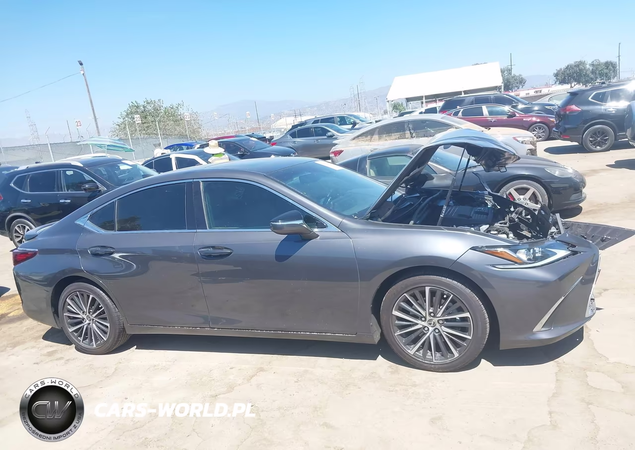 2023 Lexus Es 300H VIN:58ADA1C14PU028321 - 13