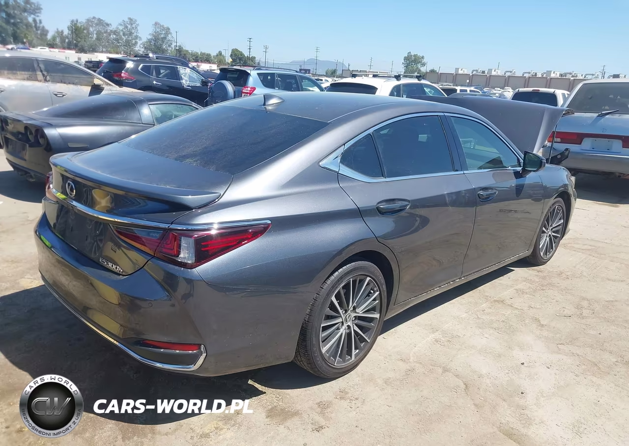 2023 Lexus Es 300H VIN:58ADA1C14PU028321 - 4