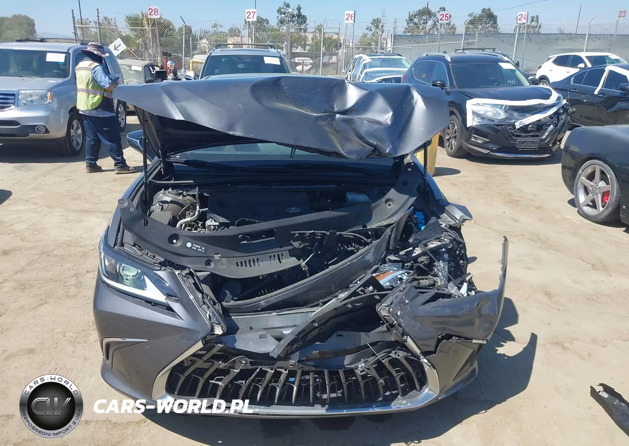 2023 Lexus Es 300H VIN:58ADA1C14PU028321 - 6