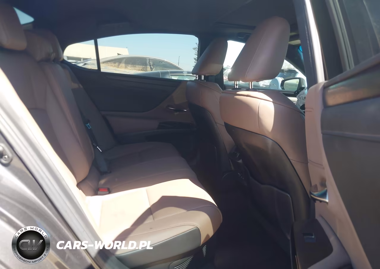 2023 Lexus Es 300H VIN:58ADA1C14PU028321 - 8