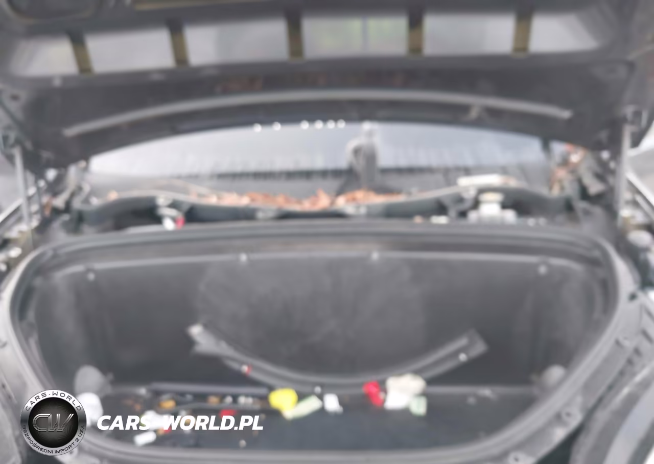 2018 Tesla Model X 100D-75D-P100D VIN:5YJXCDE26JF119665 - 10