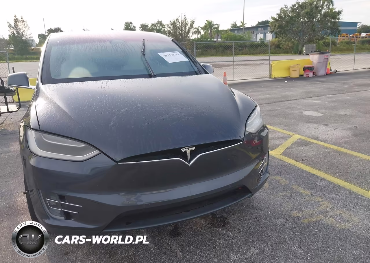 2018 Tesla Model X 100D-75D-P100D VIN:5YJXCDE26JF119665 - 6