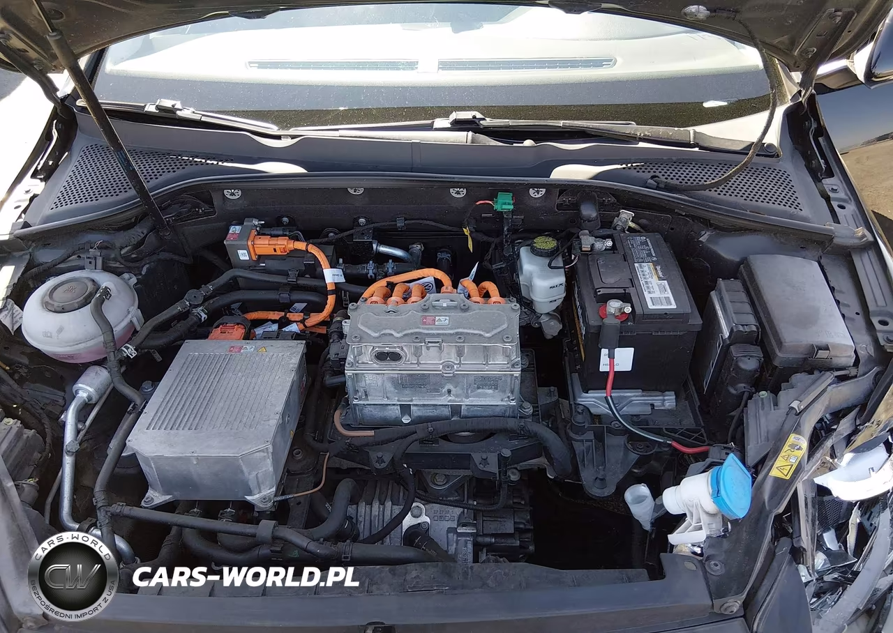 2019 Volkswagen E-Golf Se VIN:WVWKR7AU5KW909277 - 10