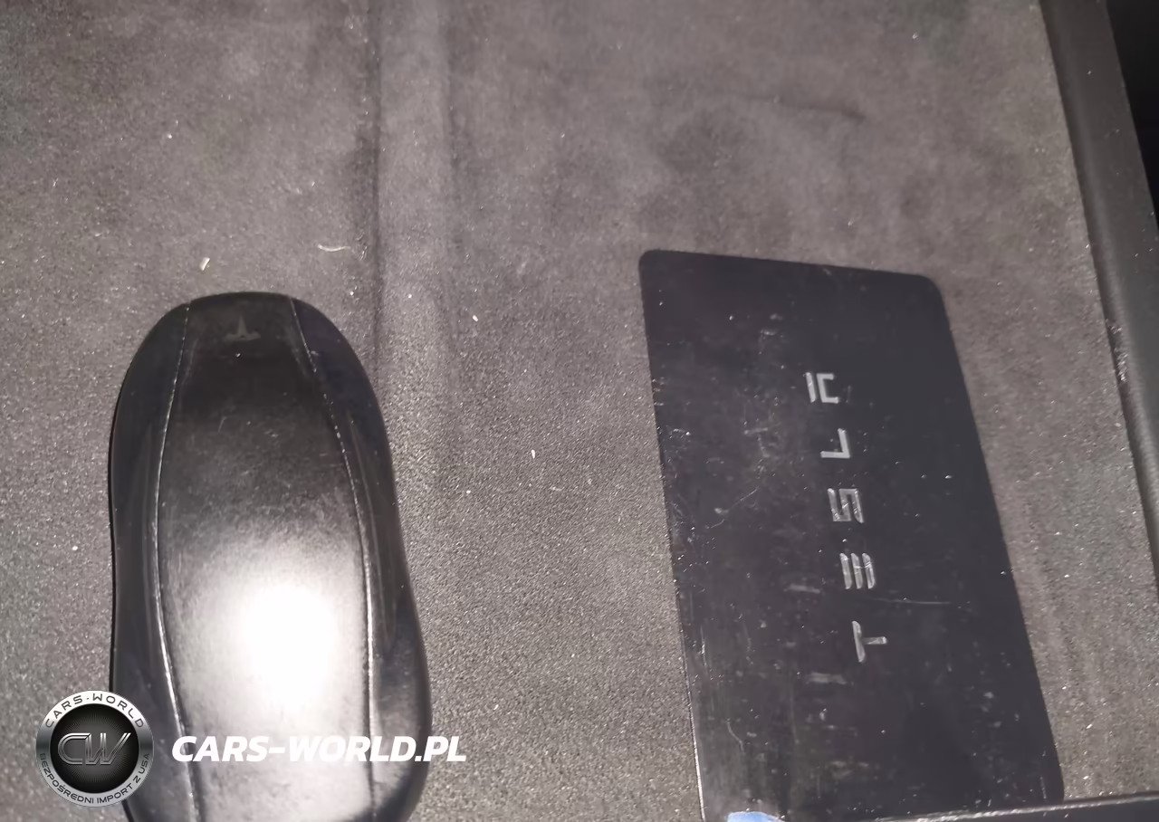 2021 Tesla Model S Long Range Dual Motor All-Wheel Drive VIN:5YJSA1E59MF428477 - 11