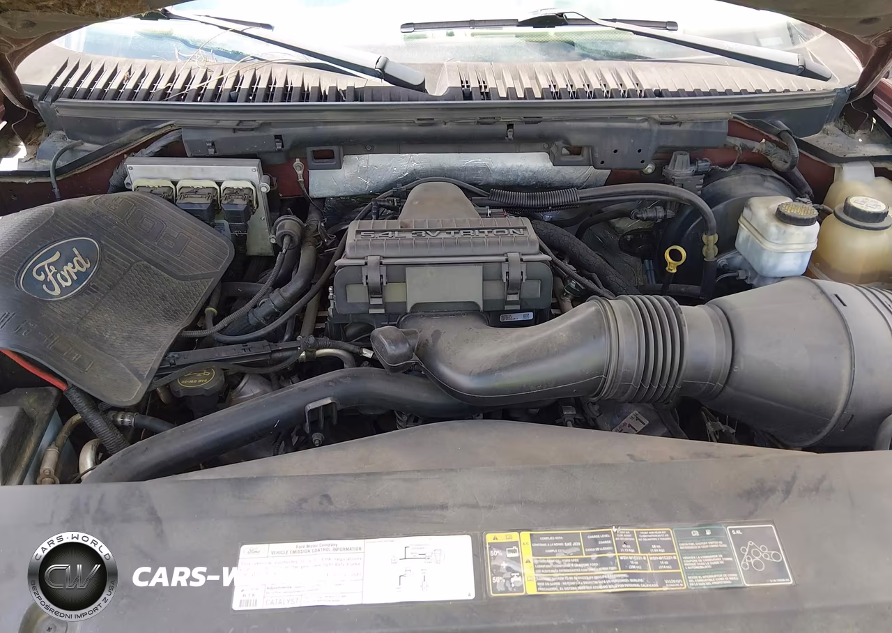 2006 Ford Expedition Eddie Bauer-King Ranch VIN:1FMPU17556LA96494 - 10