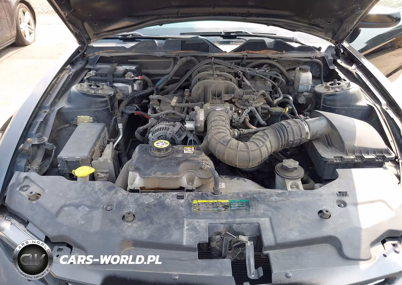 2010 Ford Mustang V6-V6 Premium VIN:1ZVBP8AN6A5115619 - 10