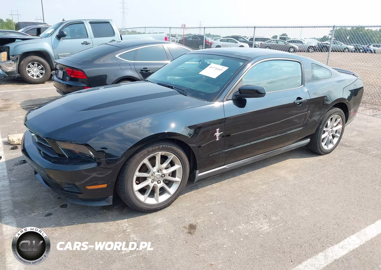 2010 Ford Mustang V6-V6 Premium VIN:1ZVBP8AN6A5115619 - 2