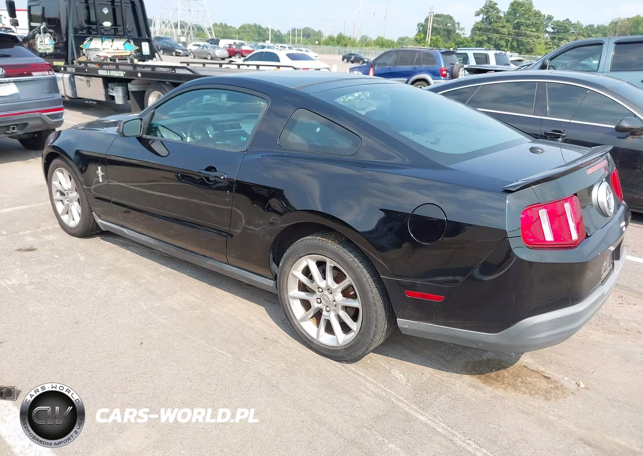 2010 Ford Mustang V6-V6 Premium VIN:1ZVBP8AN6A5115619 - 3