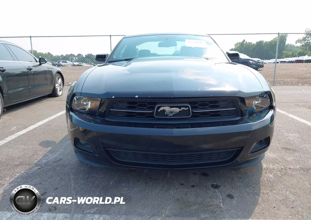 2010 Ford Mustang V6-V6 Premium VIN:1ZVBP8AN6A5115619 - 6