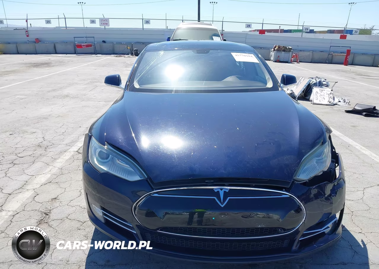 2013 Tesla Model S Performance VIN:5YJSA1DP6DFP07209 - 12