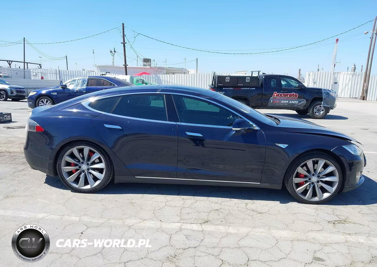 2013 Tesla Model S Performance VIN:5YJSA1DP6DFP07209 - 13