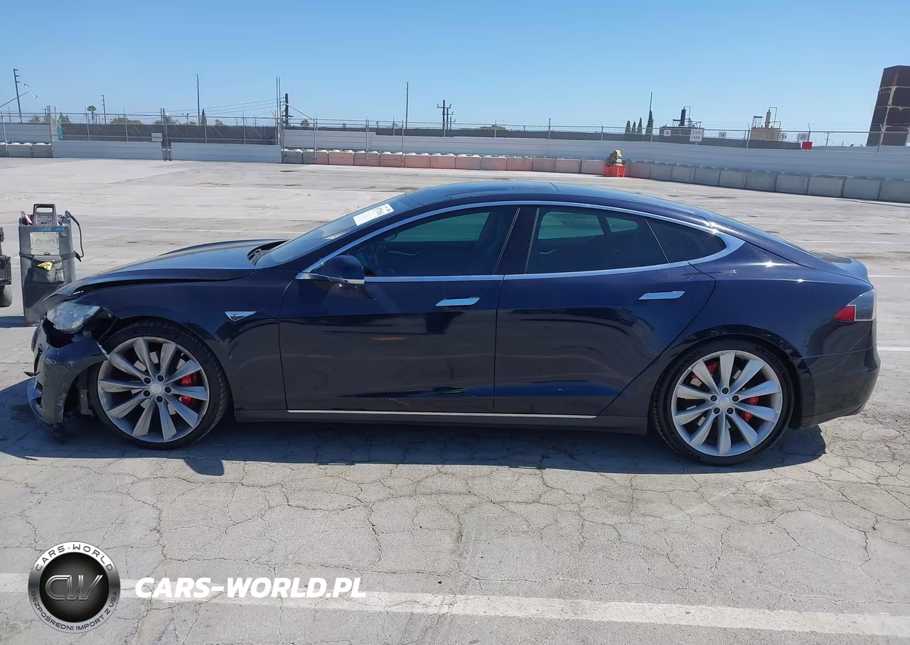 2013 Tesla Model S Performance VIN:5YJSA1DP6DFP07209 - 14
