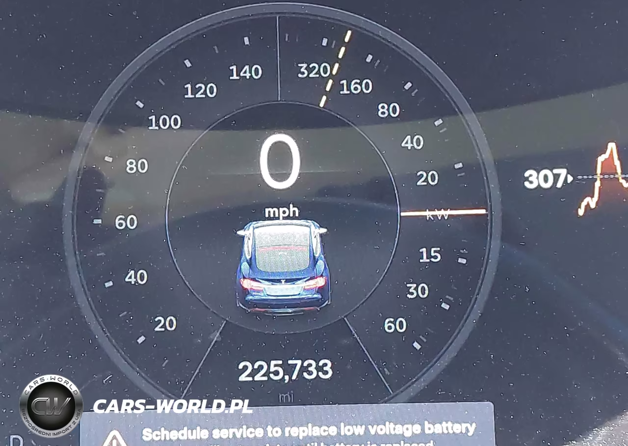 2013 Tesla Model S Performance VIN:5YJSA1DP6DFP07209 - 15
