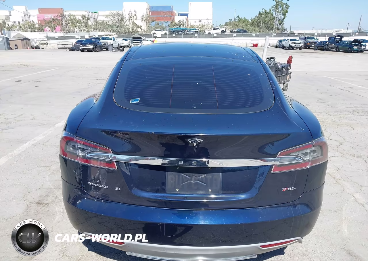 2013 Tesla Model S Performance VIN:5YJSA1DP6DFP07209 - 16