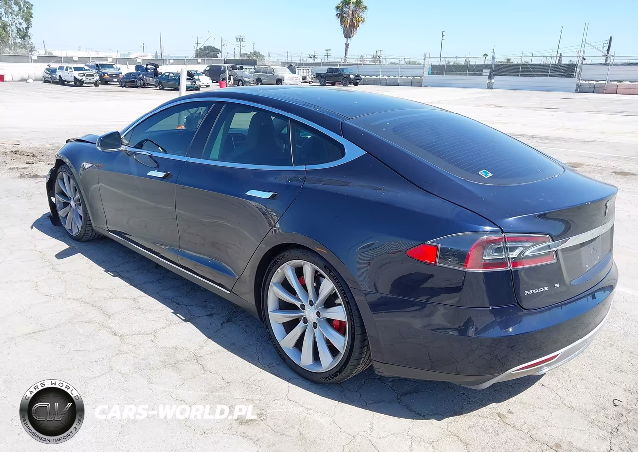 2013 Tesla Model S Performance VIN:5YJSA1DP6DFP07209 - 3