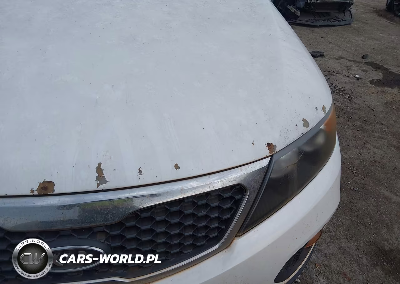 2011 Kia Sorento Lx VIN:5XYKT3A17BG181197 - 6