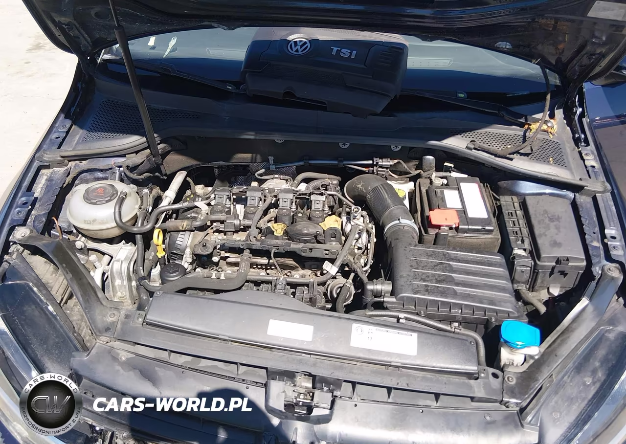 2018 Volkswagen Golf Tsi S-Tsi Se VIN:3VWG17AU9JM275514 - 10