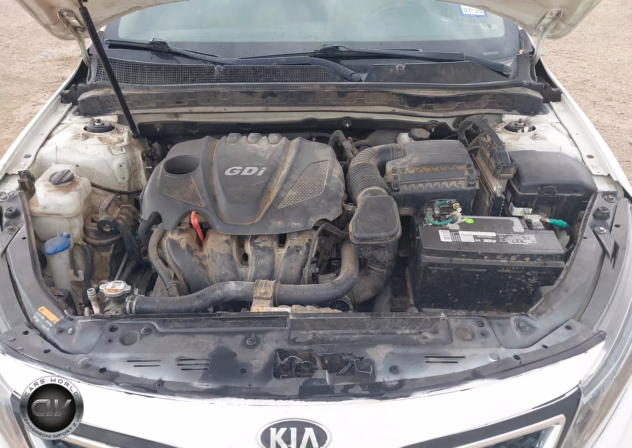 2014 Kia Optima Lx VIN:KNAGM4A79E5482951 - 10