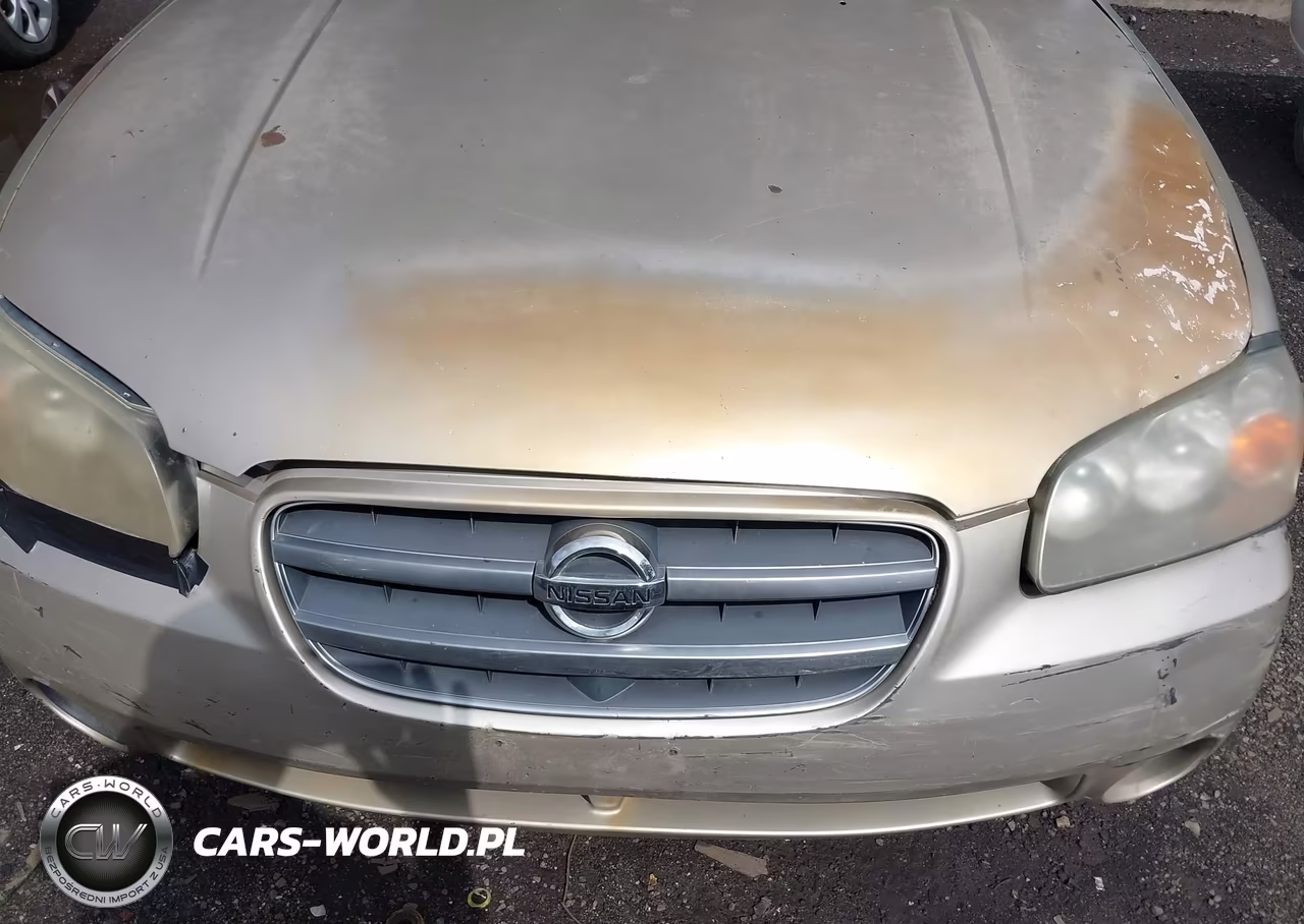 2002 Nissan Maxima Gxe VIN:JN1DA31D62T206185 - 10