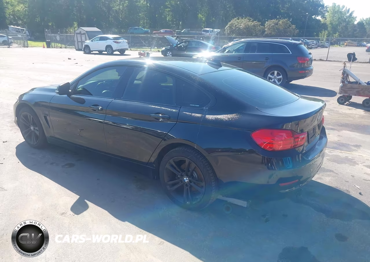 2016 BMW 428I Gran Coupe xDrive VIN:WBA4C9C5XGG137563 - 3