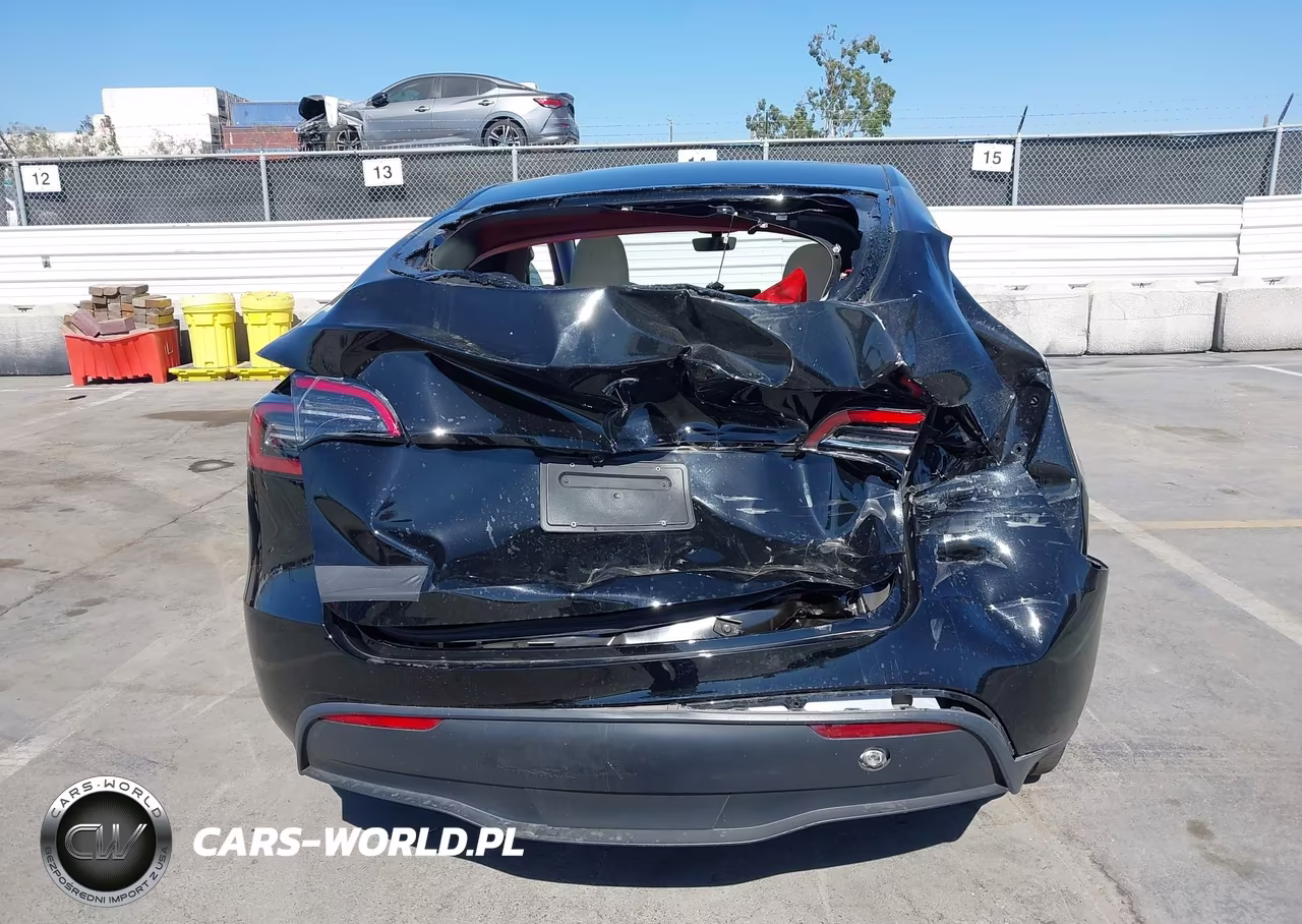 2025 Tesla Model Y Long Range Dual Motor Rear-Wheel Drive VIN:7SAYGDED7SF231017 - 16