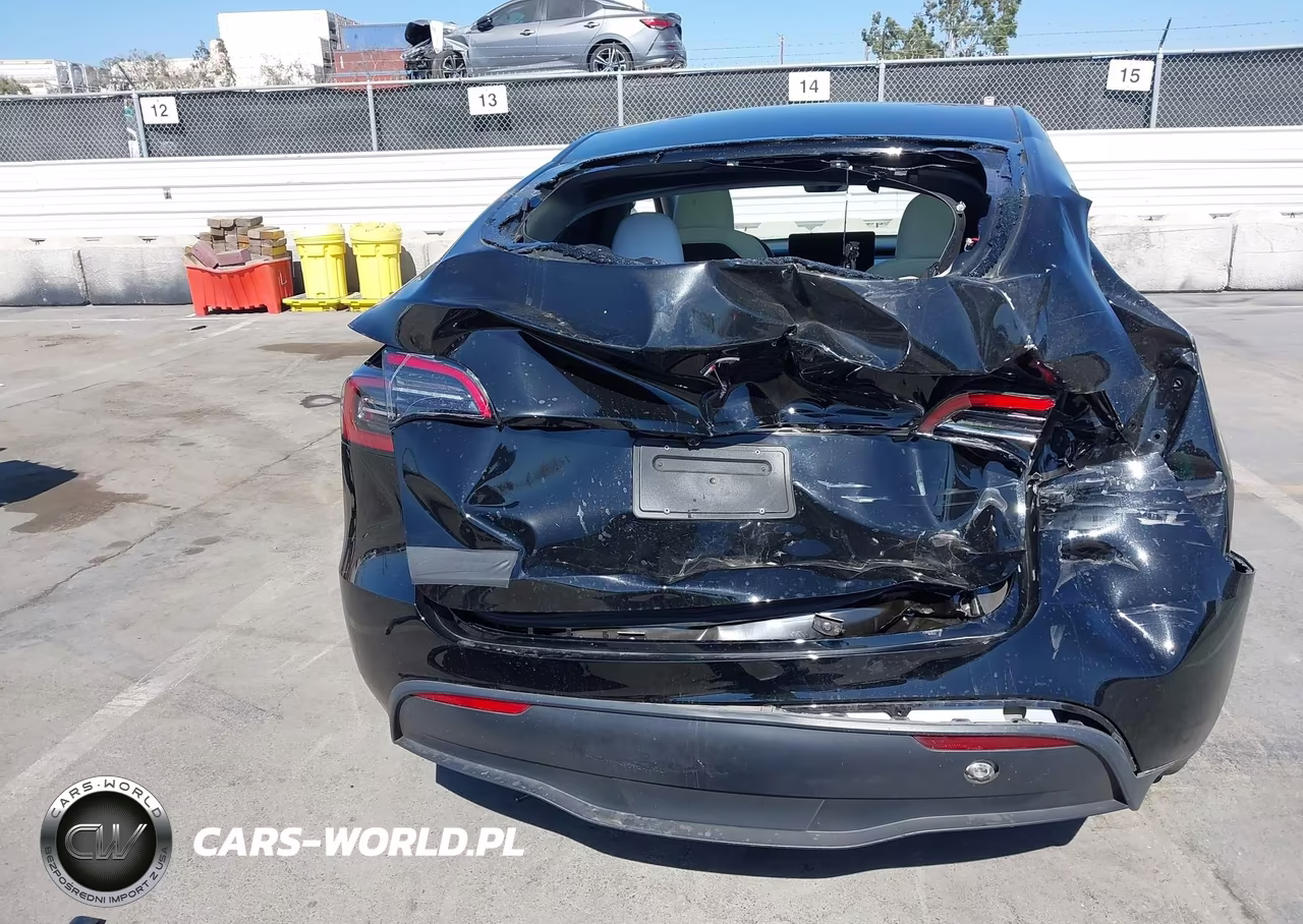 2025 Tesla Model Y Long Range Dual Motor Rear-Wheel Drive VIN:7SAYGDED7SF231017 - 21
