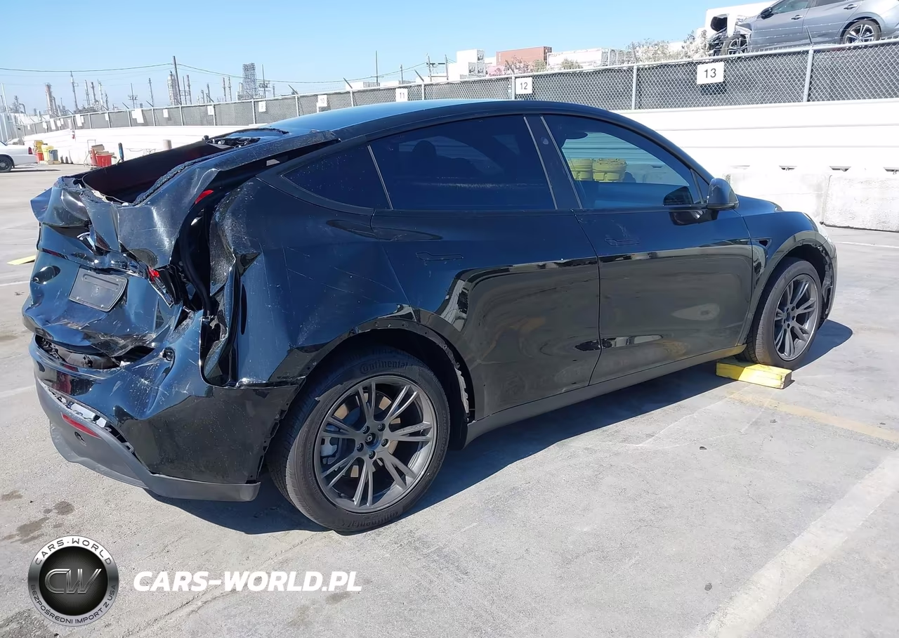 2025 Tesla Model Y Long Range Dual Motor Rear-Wheel Drive VIN:7SAYGDED7SF231017 - 4