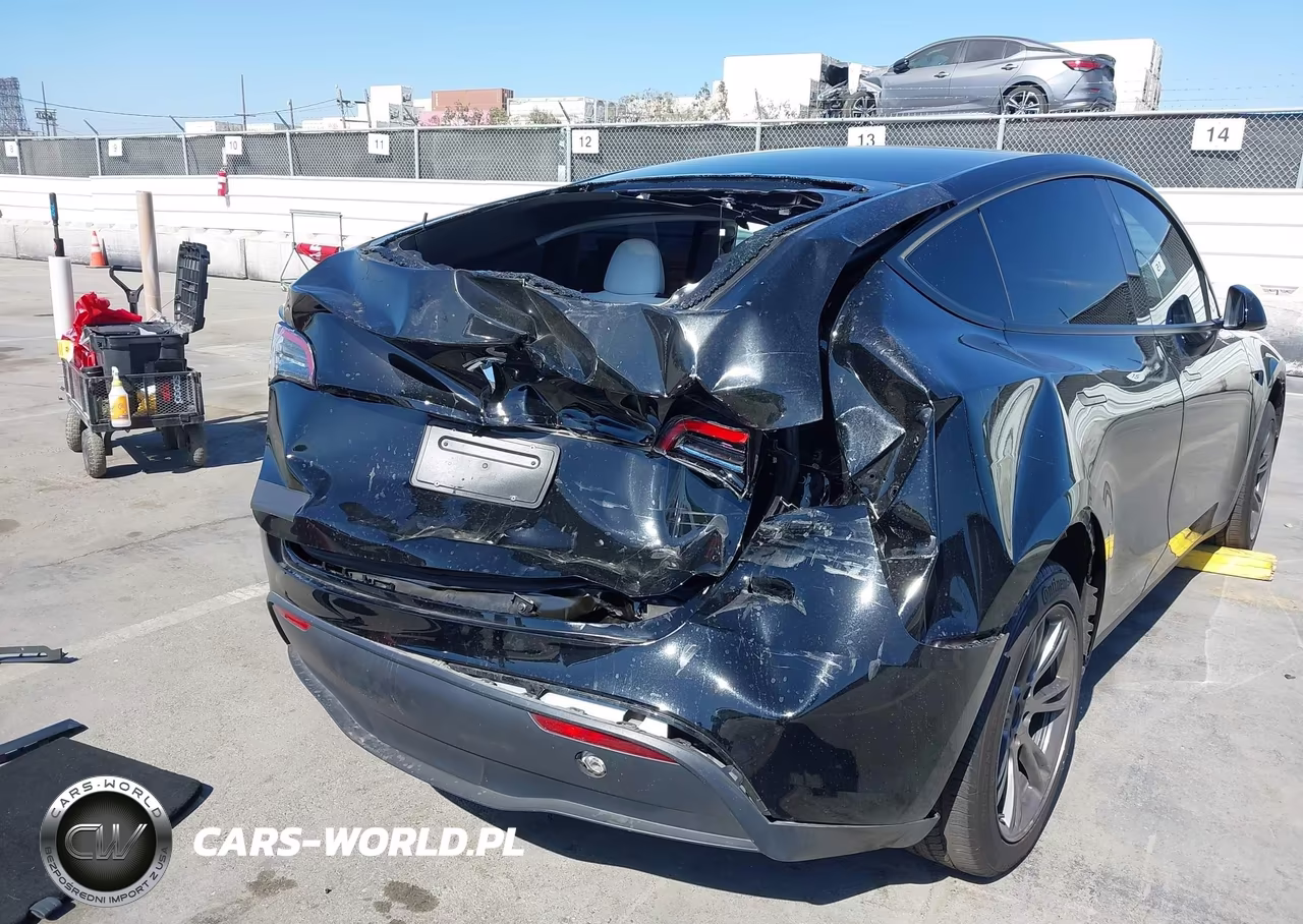2025 Tesla Model Y Long Range Dual Motor Rear-Wheel Drive VIN:7SAYGDED7SF231017 - 6