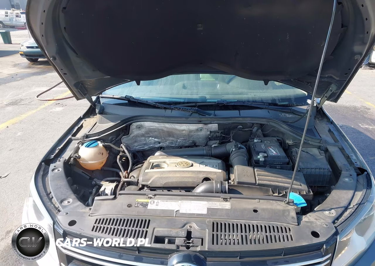 2013 Volkswagen Tiguan Se VIN:WVGAV3AX0DW587544 - 10
