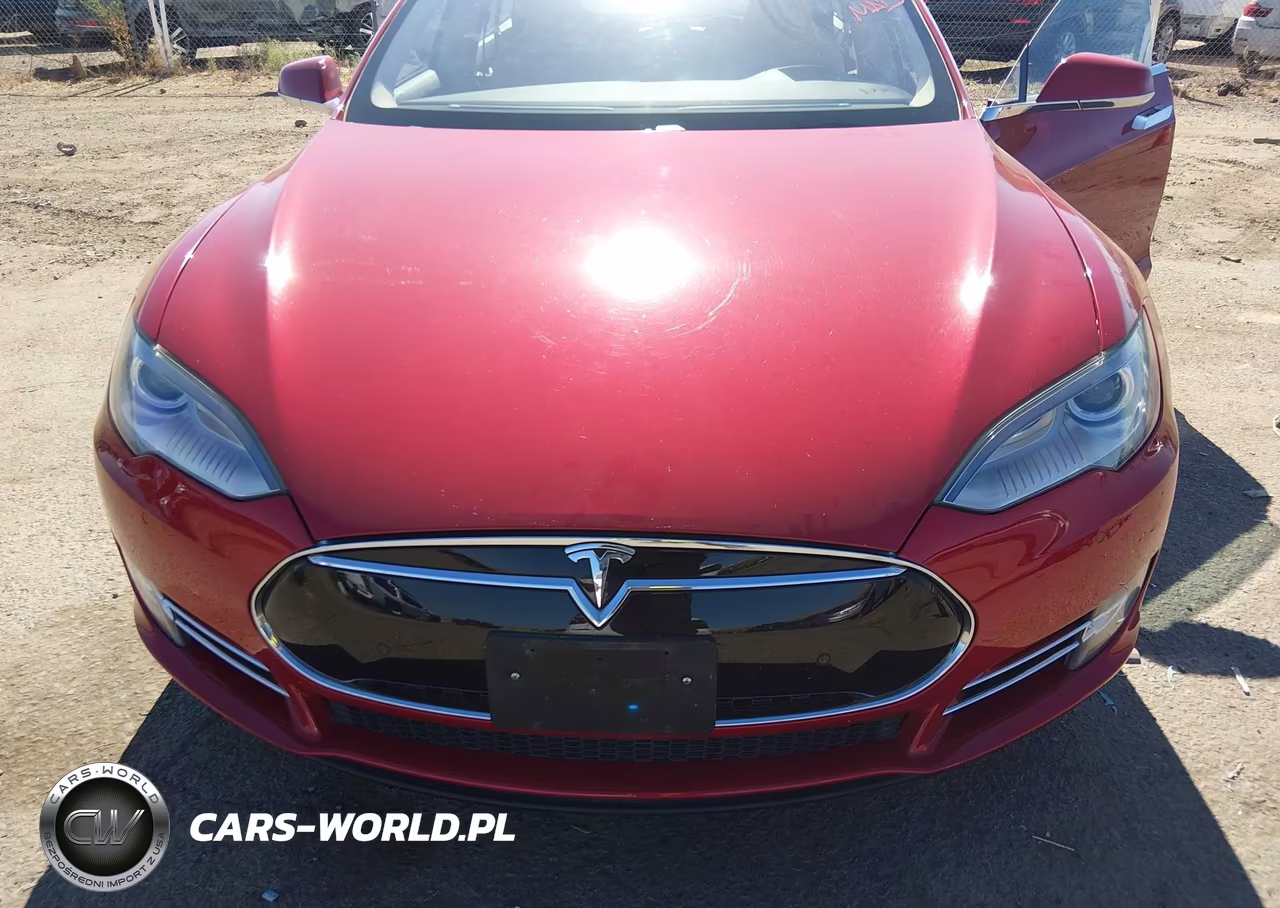 2013 Tesla Model S VIN:5YJSA1CGXDFP23074 - 10