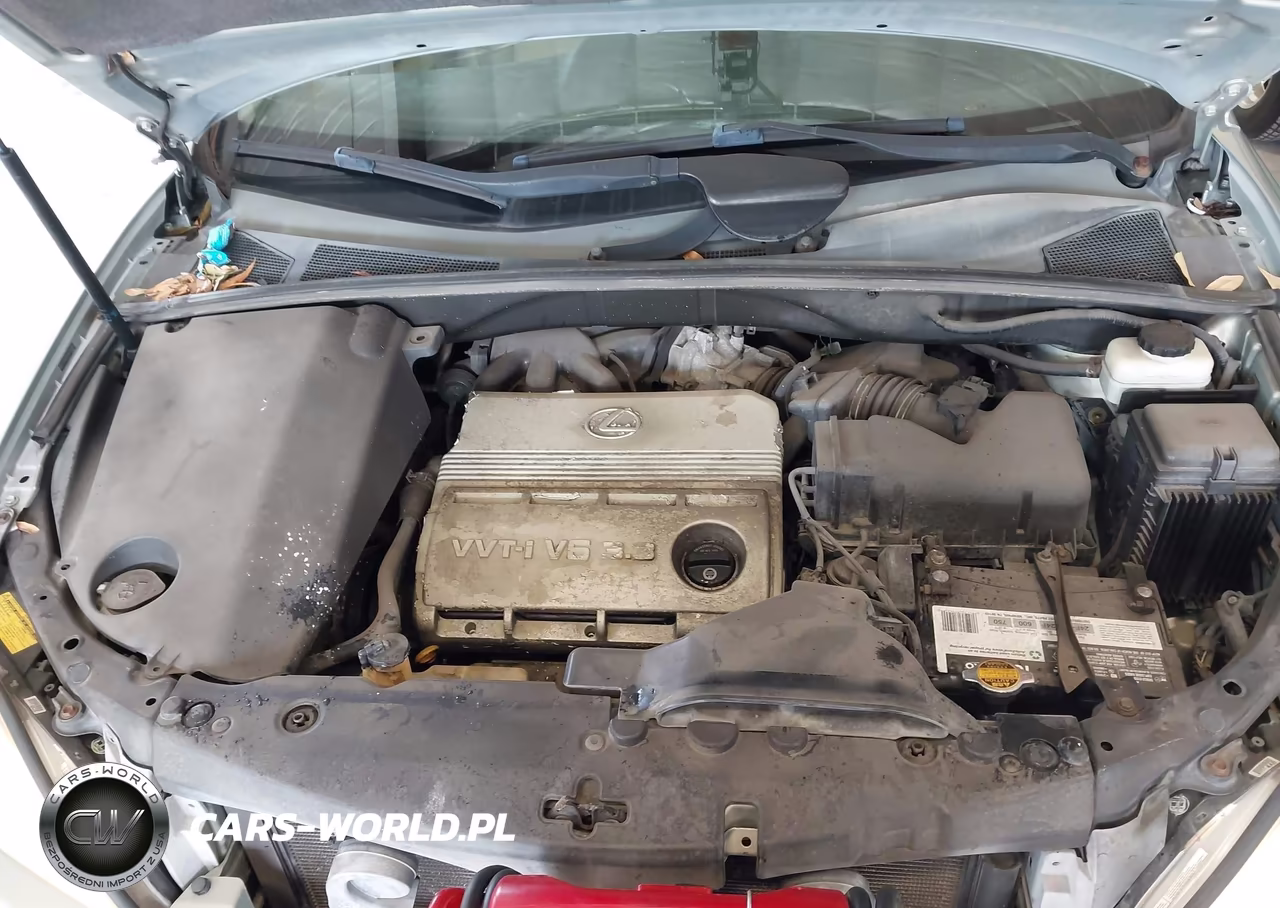 2004 Lexus Rx 330 VIN:2T2GA31U84C003993 - 10