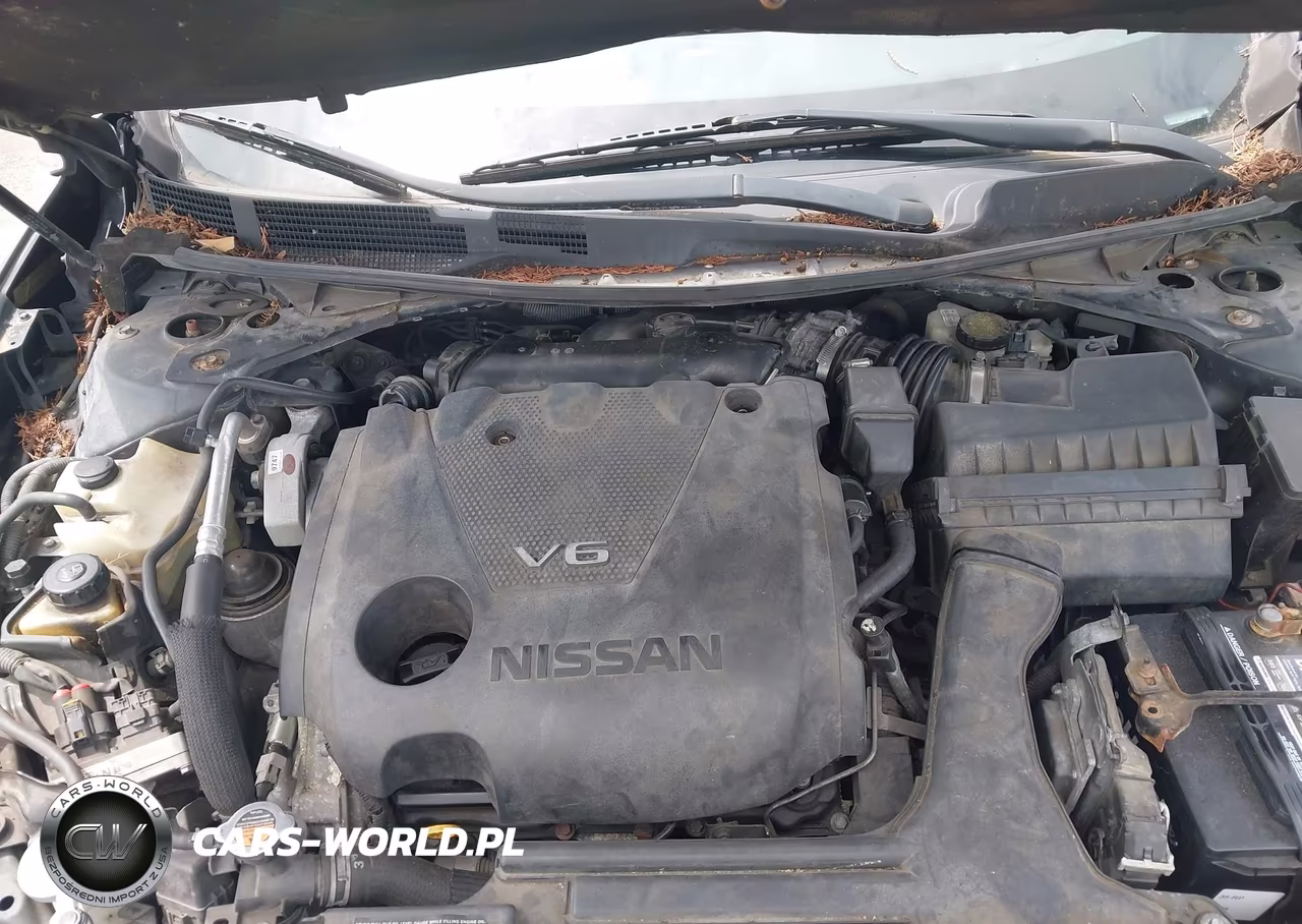 2018 Nissan Maxima 3.5 Sl VIN:1N4AA6AP7JC374367 - 10