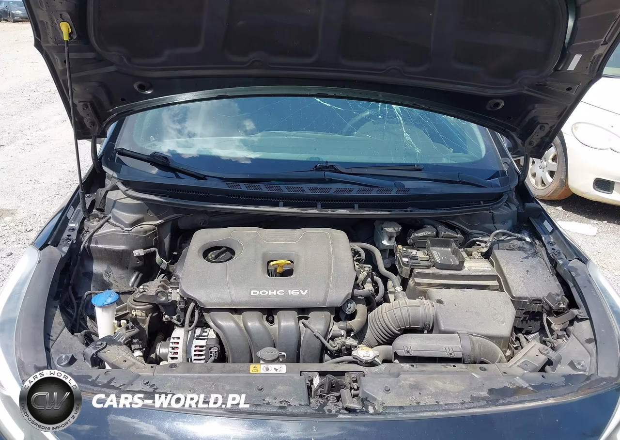 2017 Kia Forte Lx VIN:3KPFL4A77HE118943 - 10