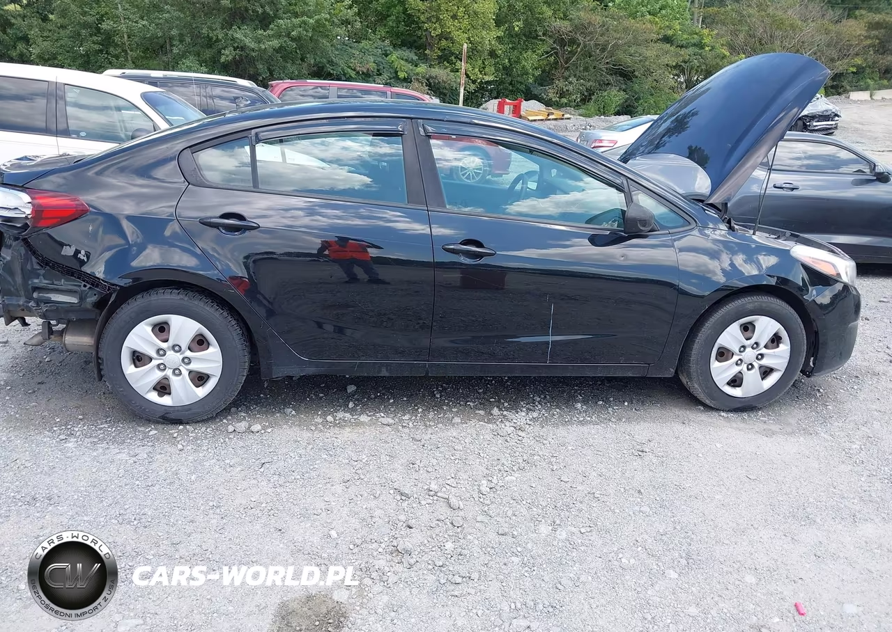 2017 Kia Forte Lx VIN:3KPFL4A77HE118943 - 12
