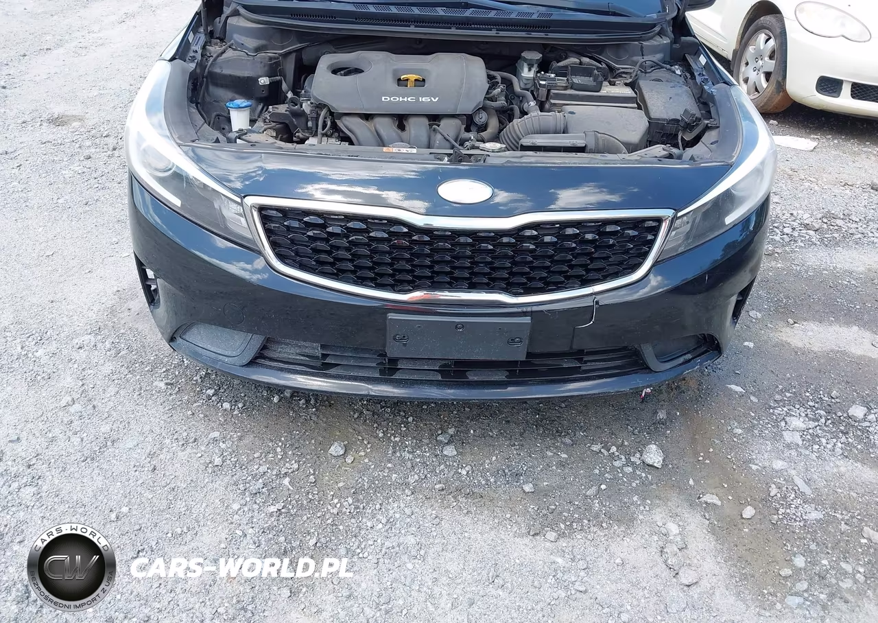 2017 Kia Forte Lx VIN:3KPFL4A77HE118943 - 13