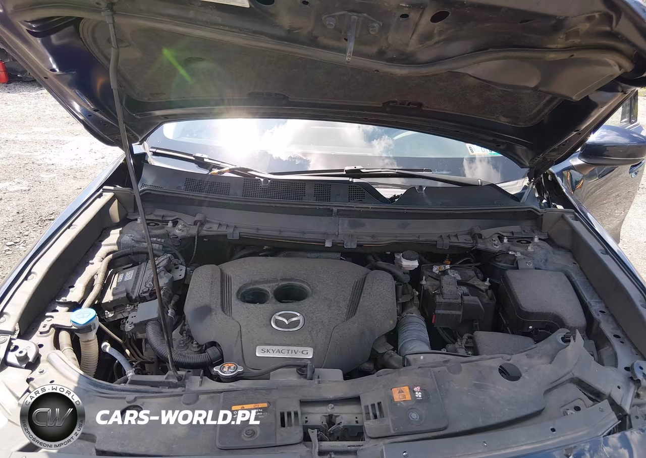 2020 Mazda Cx-9 Touring VIN:JM3TCBCY7L0424143 - 10