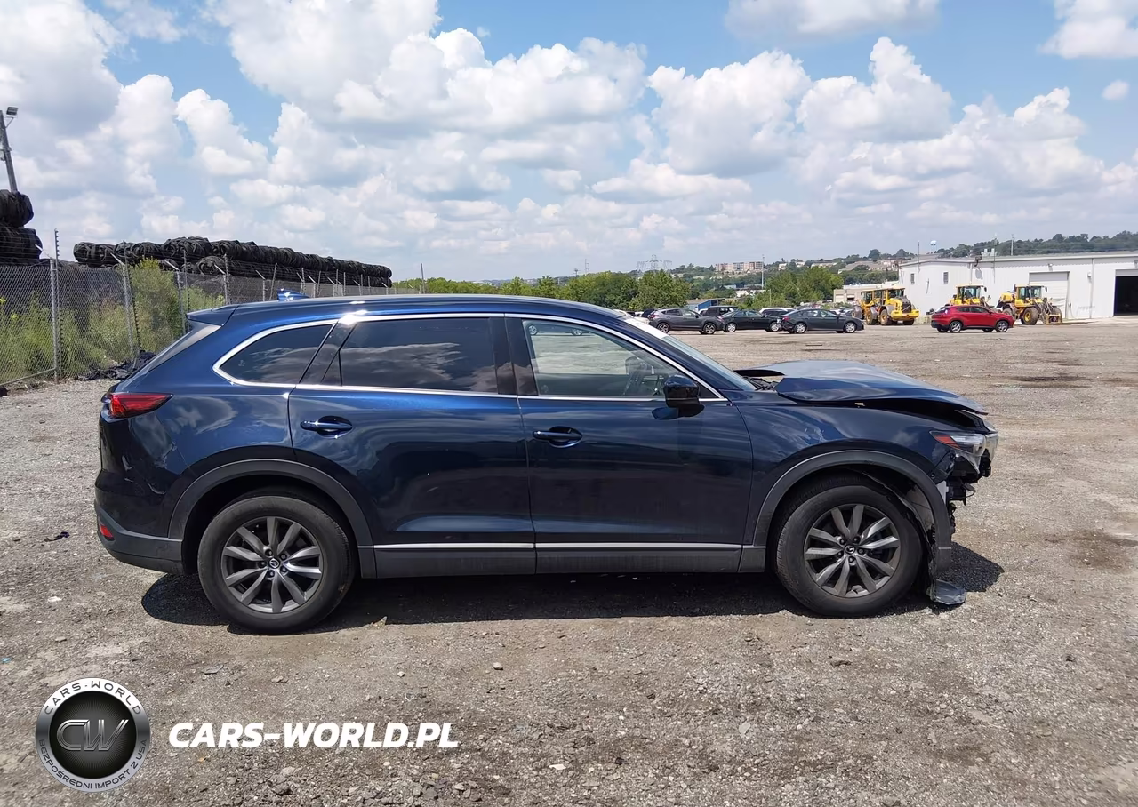 2020 Mazda Cx-9 Touring VIN:JM3TCBCY7L0424143 - 13