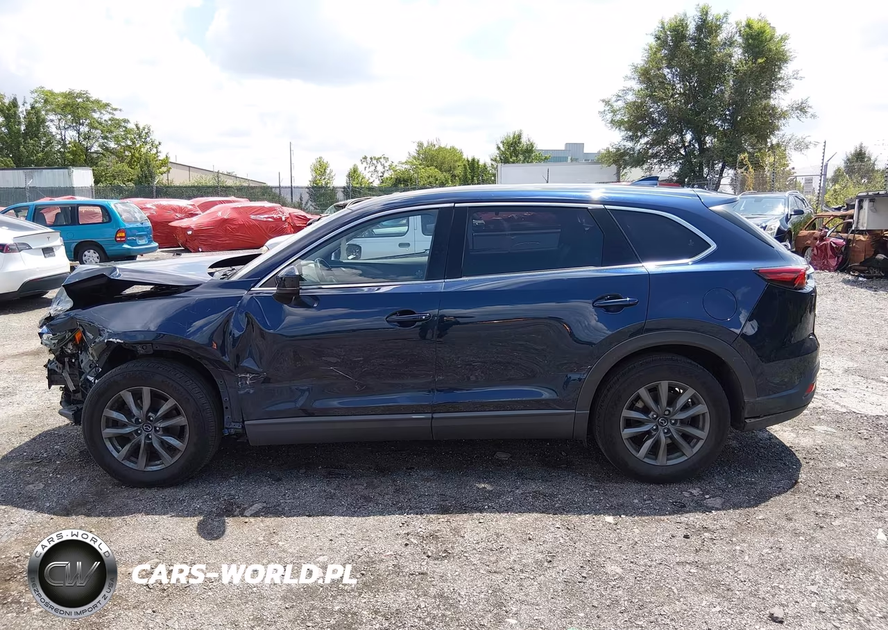2020 Mazda Cx-9 Touring VIN:JM3TCBCY7L0424143 - 14