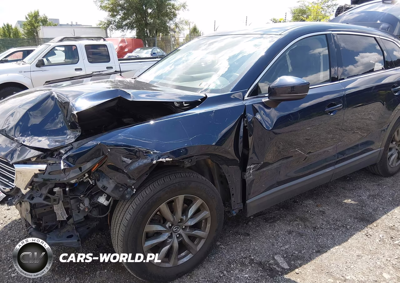 2020 Mazda Cx-9 Touring VIN:JM3TCBCY7L0424143 - 6