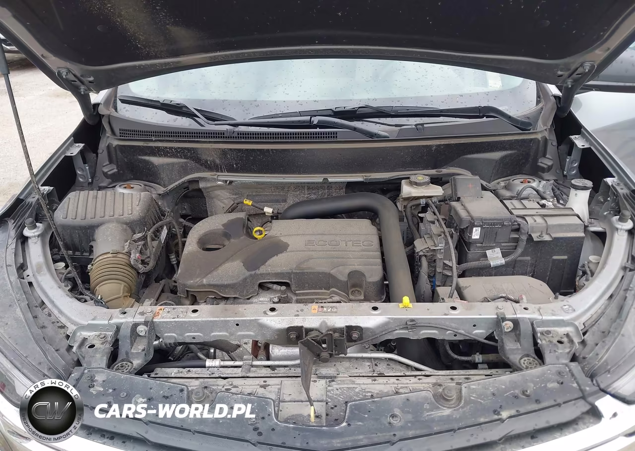 2024 Chevrolet Equinox Awd Ls VIN:3GNAXSEG7RL302670 - 10