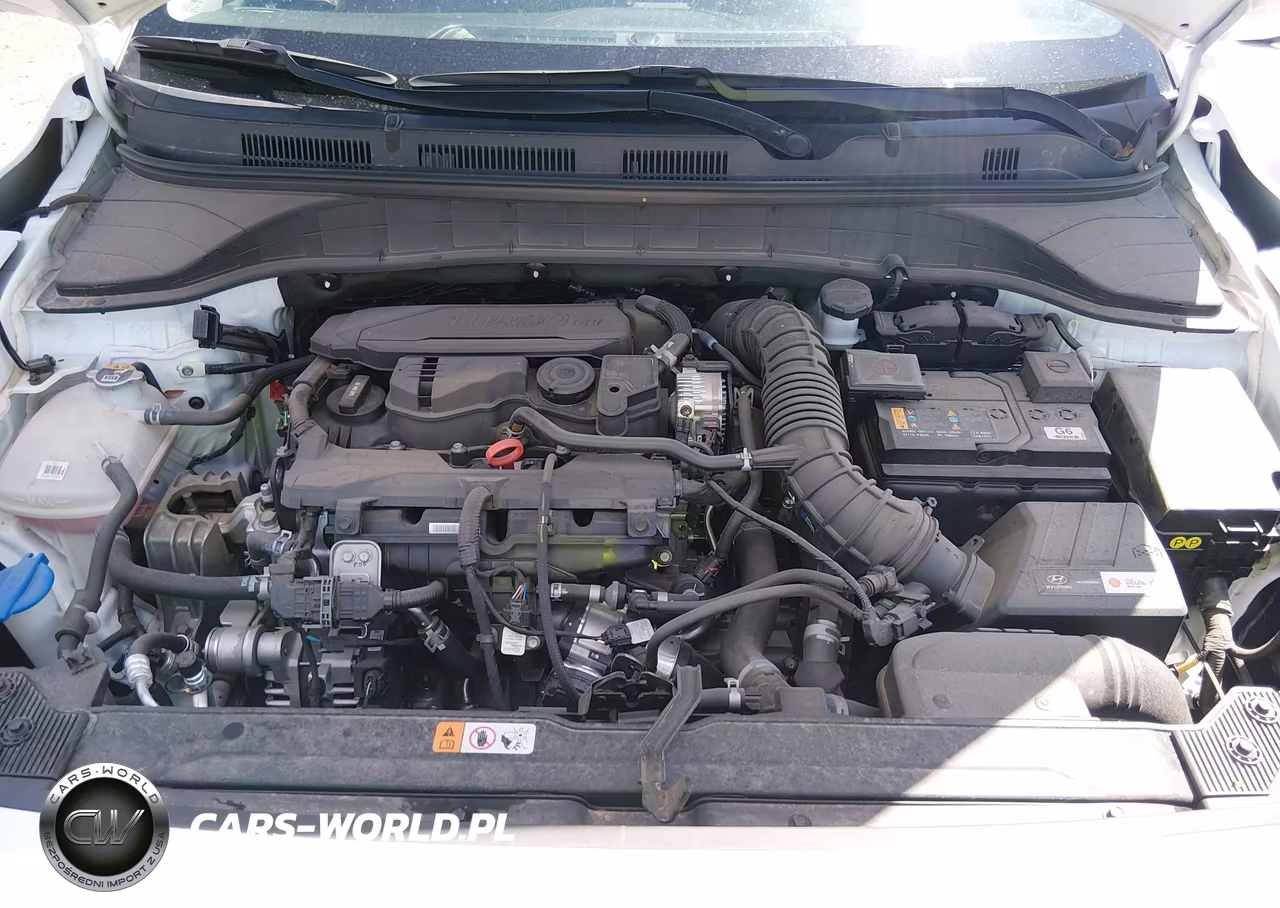 2023 Hyundai Kona Limited VIN:KM8K5CA34PU045705 - 10