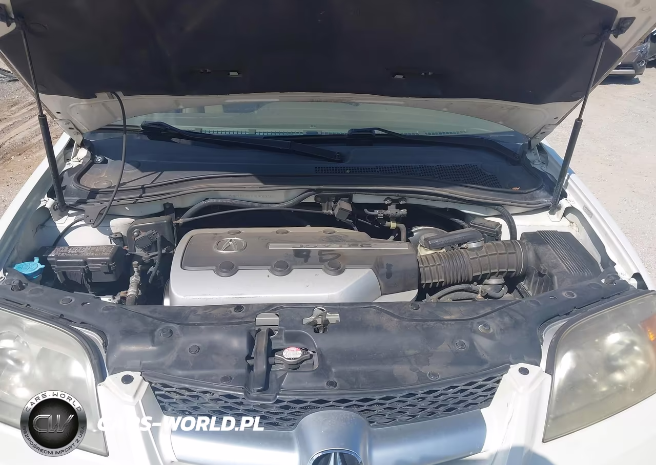 2006 Acura Mdx VIN:2HNYD18256H550358 - 10