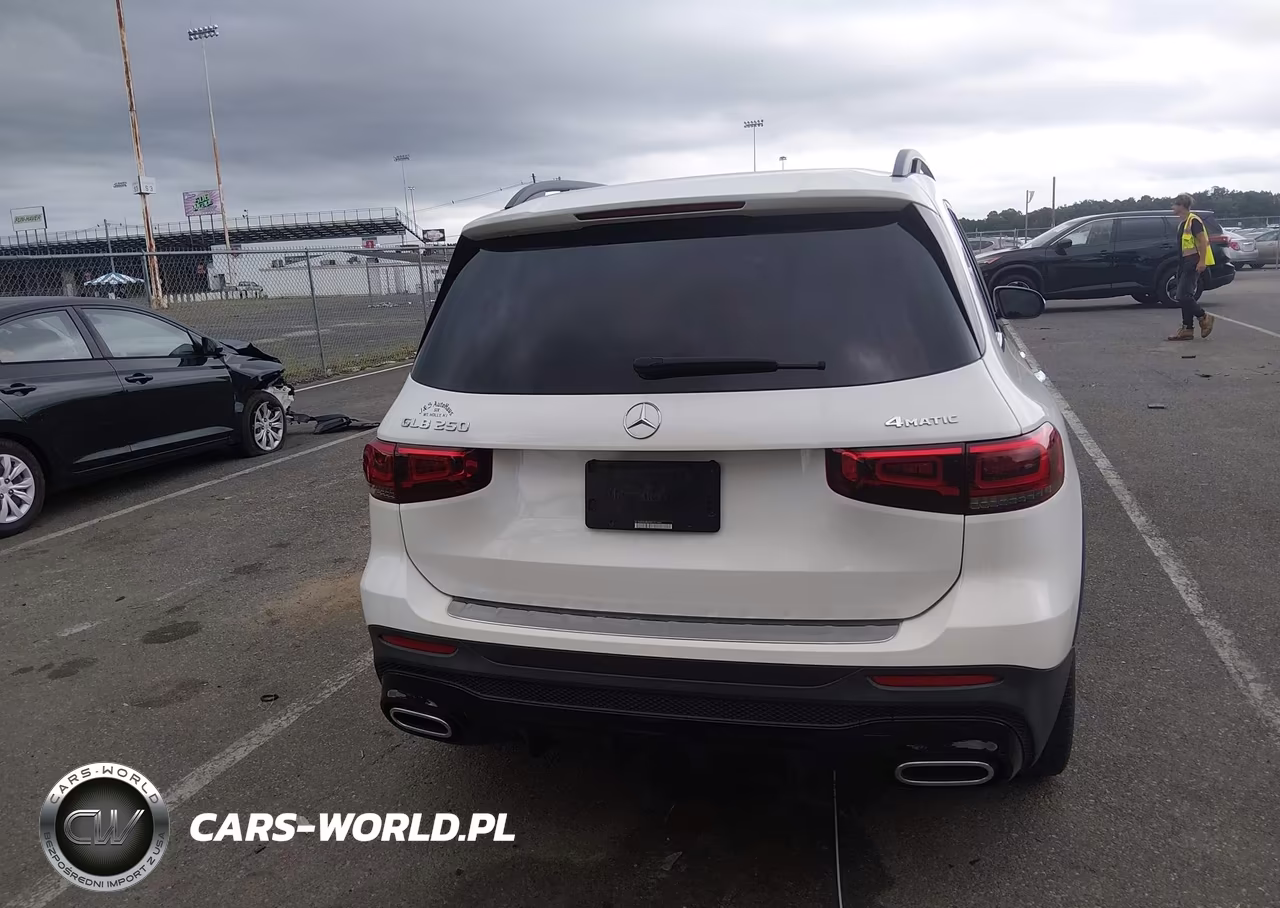 2022 Mercedes-Benz Glb 250 4Matic VIN:W1N4M4HBXNW251446 - 16