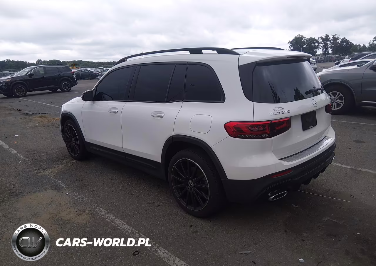 2022 Mercedes-Benz Glb 250 4Matic VIN:W1N4M4HBXNW251446 - 3