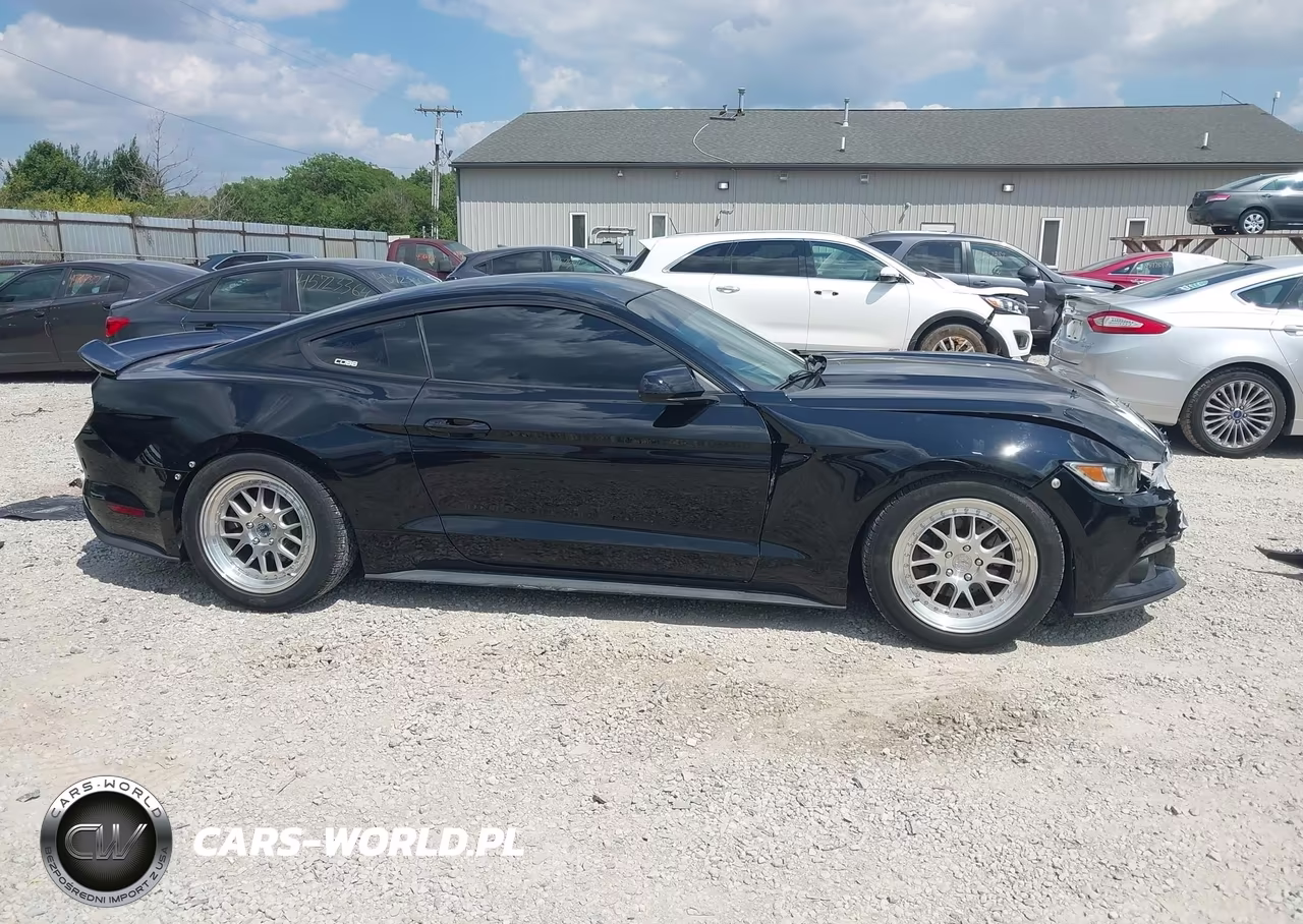 2015 Ford Mustang Ecoboost VIN:1FA6P8TH2F5344095 - 13