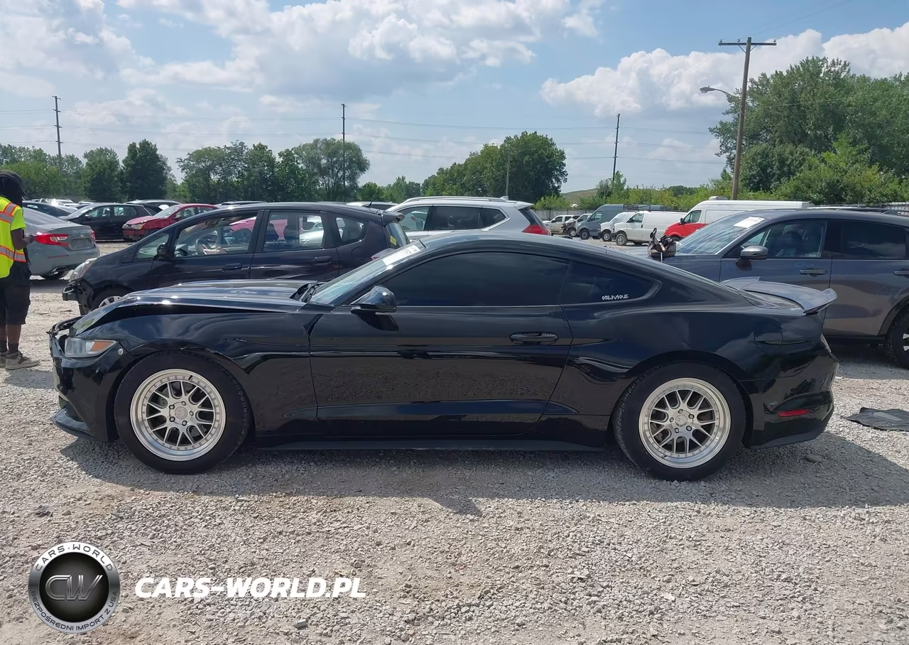 2015 Ford Mustang Ecoboost VIN:1FA6P8TH2F5344095 - 14