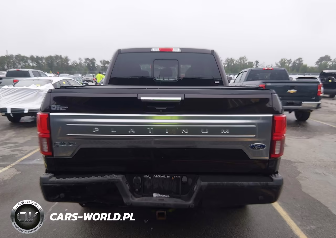 2018 Ford F-150 Platinum VIN:1FTFW1E14JFD80068 - 16