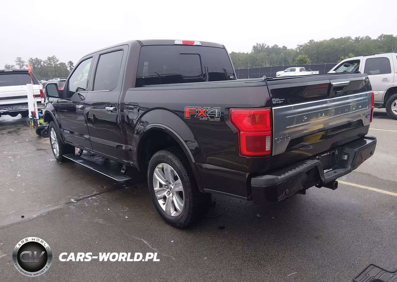 2018 Ford F-150 Platinum VIN:1FTFW1E14JFD80068 - 3