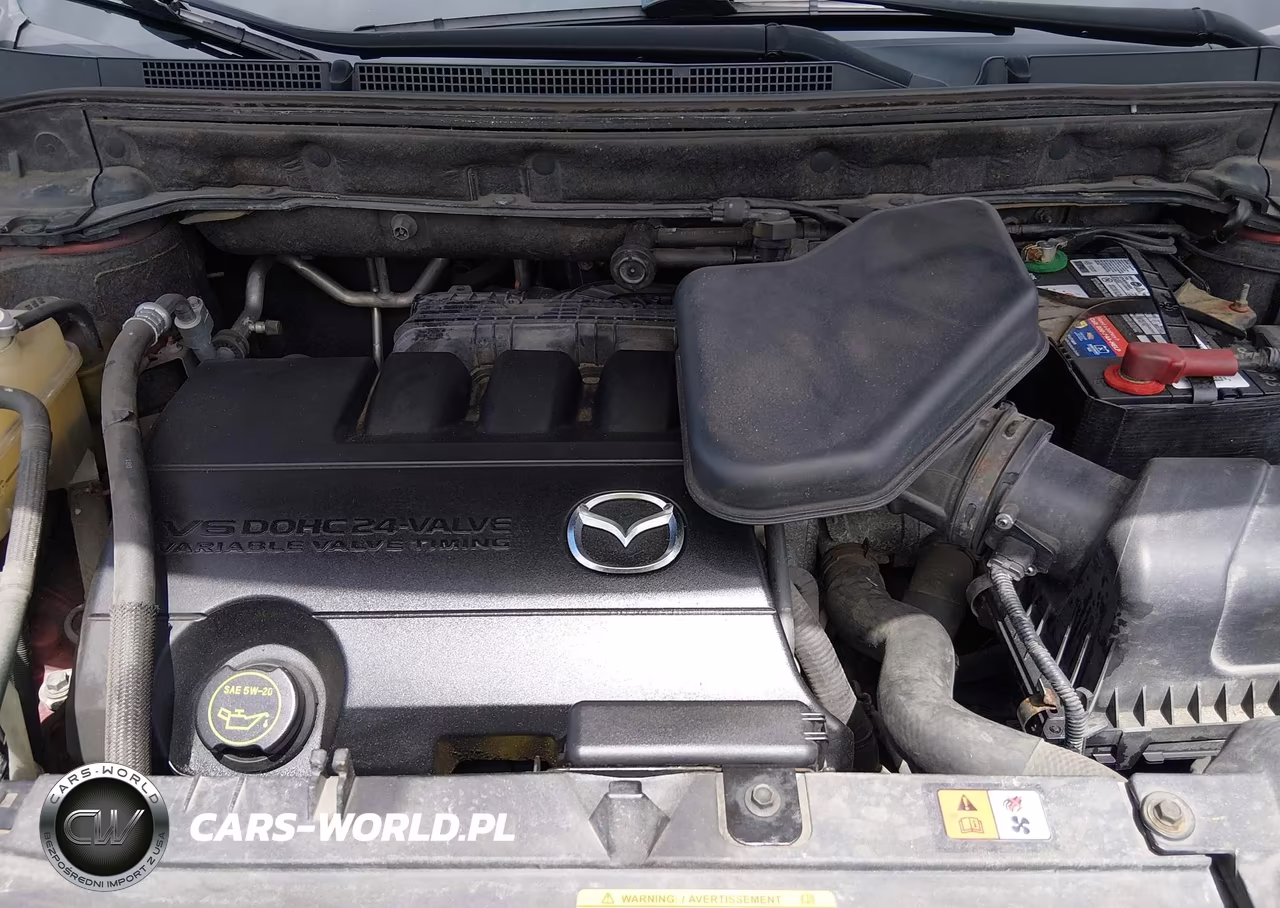 2011 Mazda Cx-9 Touring VIN:JM3TB3CV6B0311572 - 10